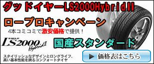 フェデラル SS595 キャンペーン!